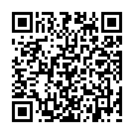 QR code for WO93