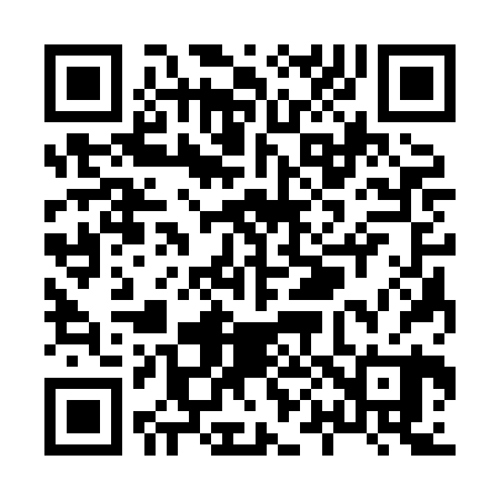 QR code for X038B0
