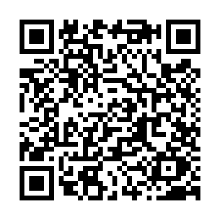 QR code for X494