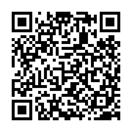 QR code for X494M0