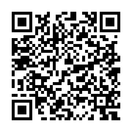 QR code for Z301138