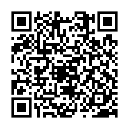 QR code for ZUBG208