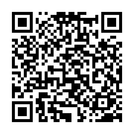 QR code for 008IRP
