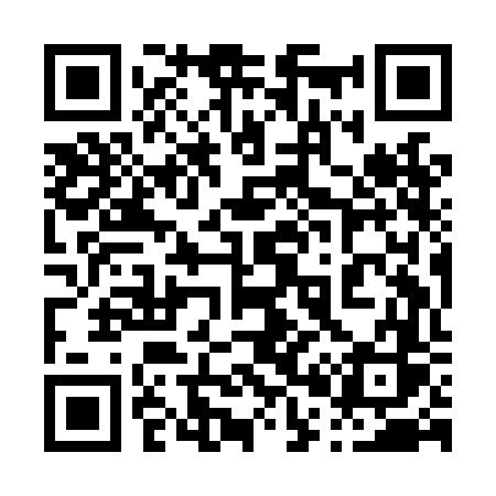 QR code for 009LFS