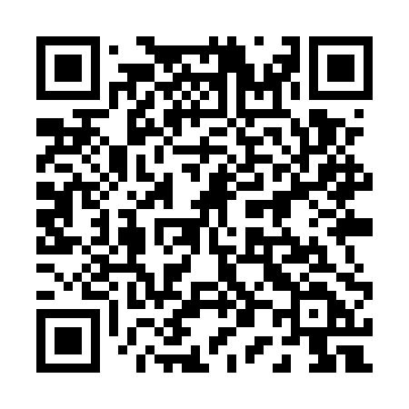 QR code for 009UPD