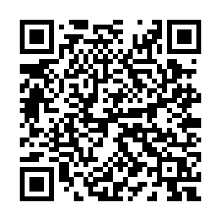 QR code for 010PNP