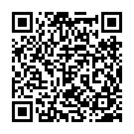 QR code for 029RIR