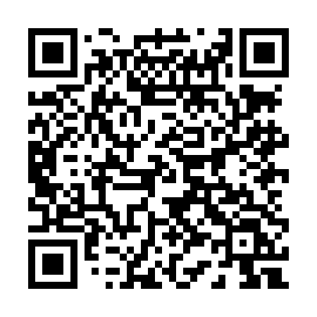 QR code for 038LDL