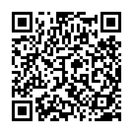 QR code for 038TII