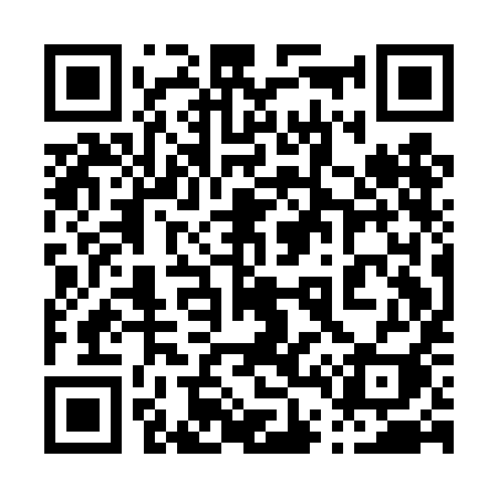 QR code for 041DII