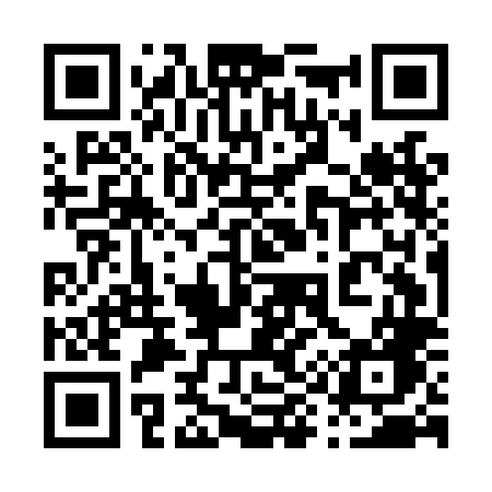 QR code for 095LLG