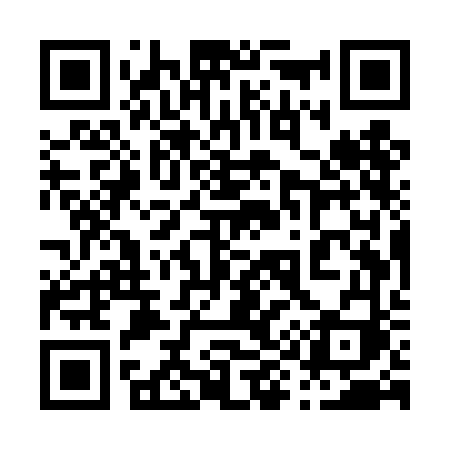 QR code for 095TFI