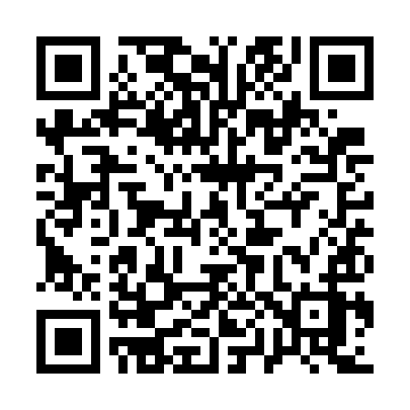 QR code for 101WIZ