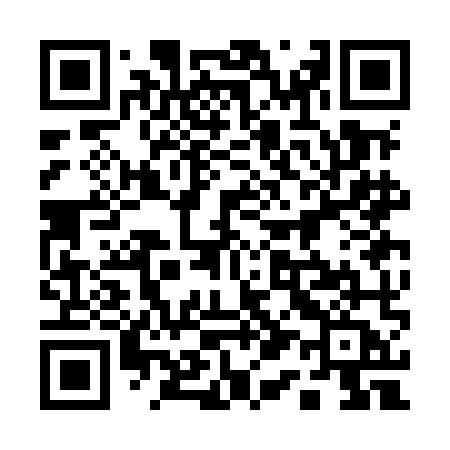 QR code for 113MMA