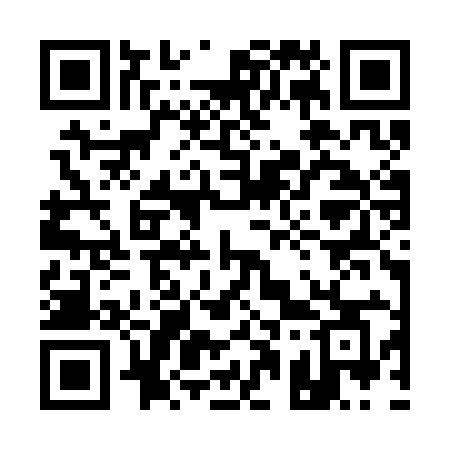 QR code for 113SIC