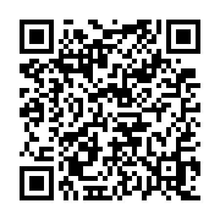QR code for 119GAO