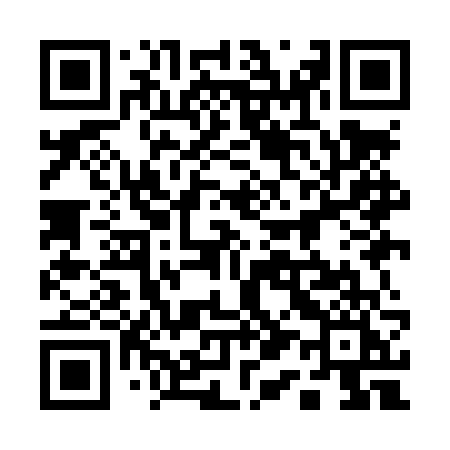QR code for 119LVI