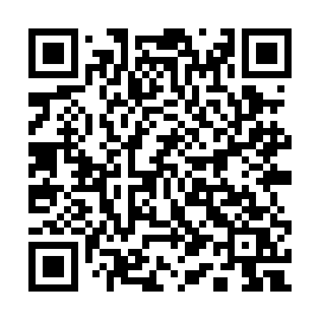 QR code for 119PES