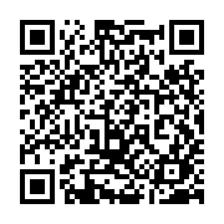 QR code for 133LYL