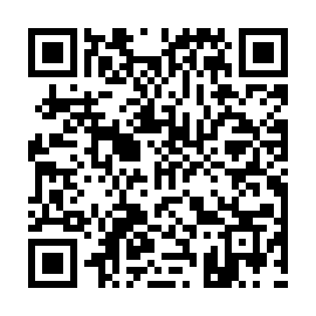 QR code for 133MAS