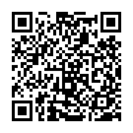 QR code for 133TDP