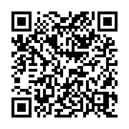 QR code for 141INR