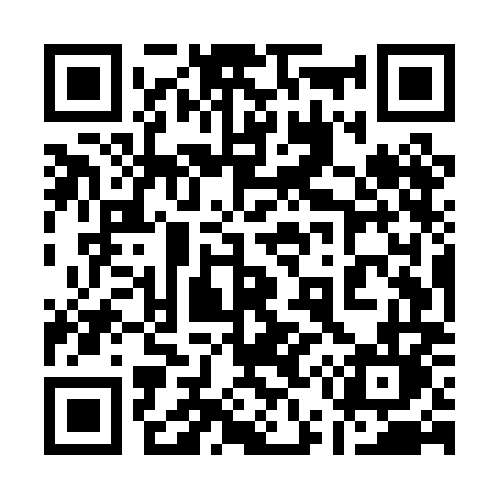 QR code for 155PML