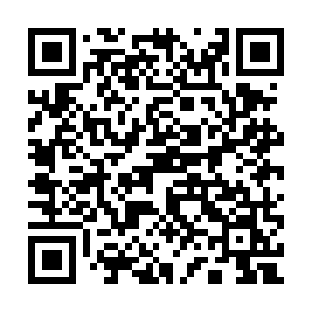 QR code for 161DMN