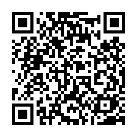 QR code for 161DWM