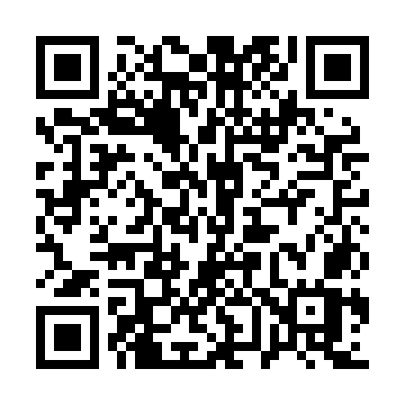 QR code for 161LOW