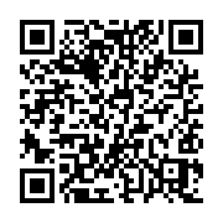 QR code for 161QIS
