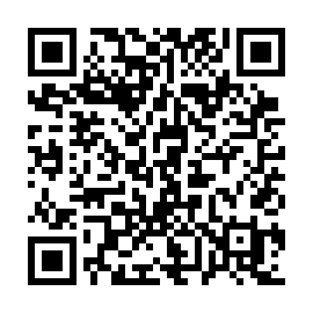 QR code for 161SDI