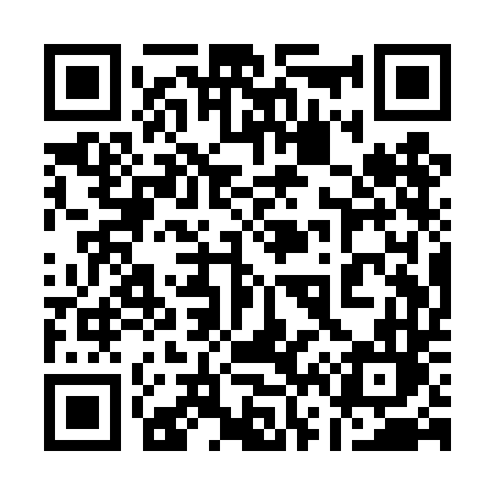 QR code for 161TDL