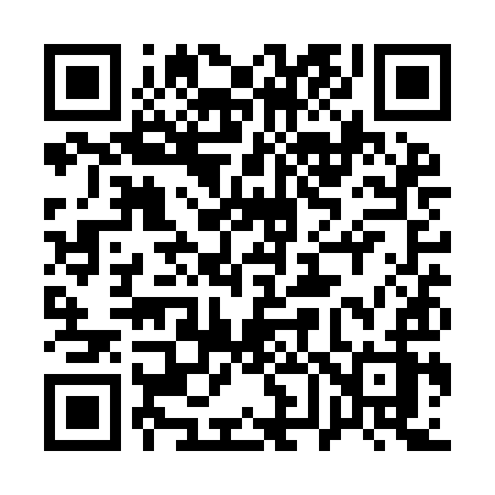 QR code for 161YIZ