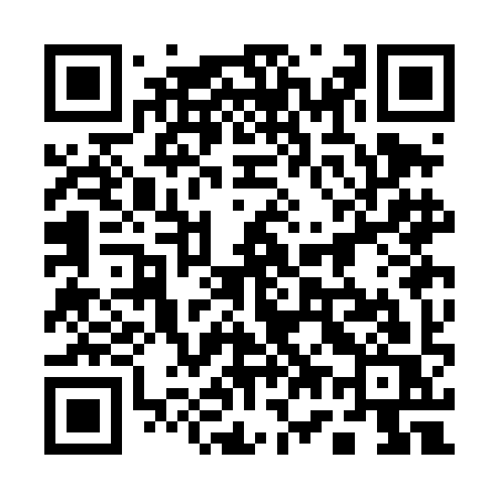 QR code for 173DIS
