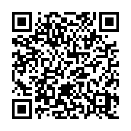 QR code for 193DFX