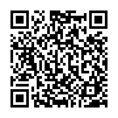 QR code for 196MIC