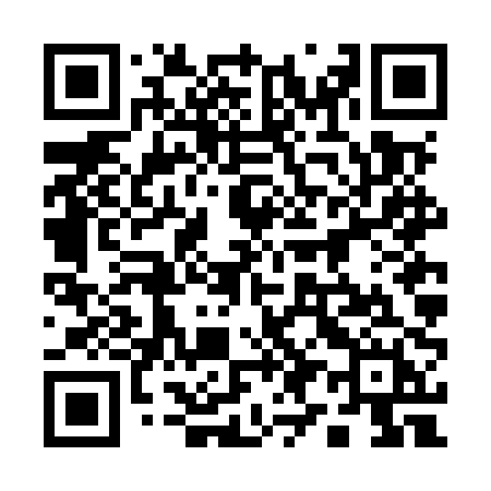 QR code for 196MPH