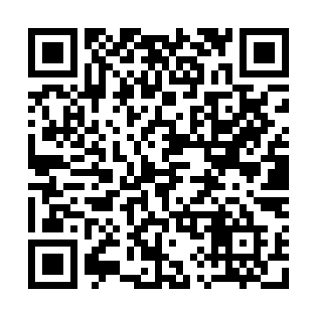 QR code for 196PIE