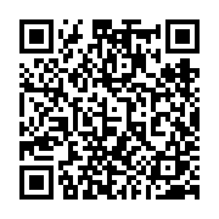 QR code for 196VIS