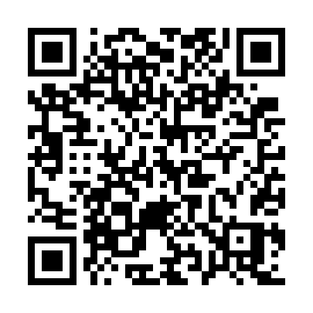QR code for 196WDS