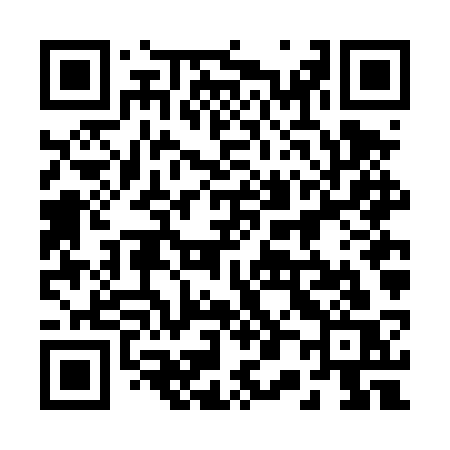 QR code for 206DSS