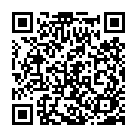 QR code for 207DUO