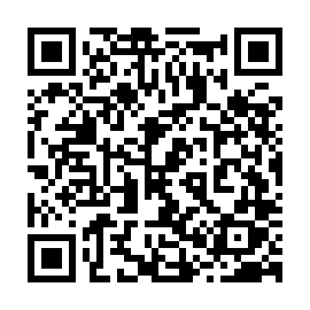 QR code for 207ILX