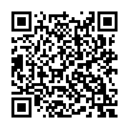 QR code for 209ICO