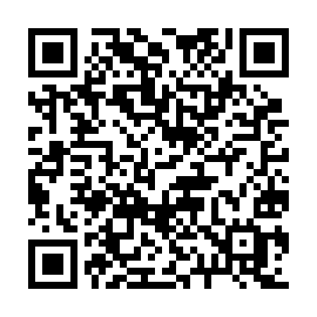 QR code for 217BIG