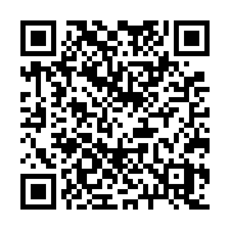 QR code for 217FFX