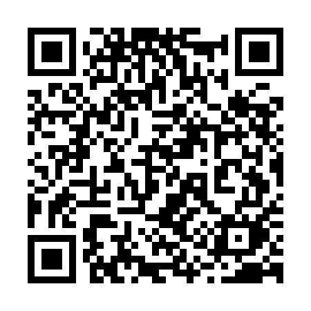 QR code for 217IEM