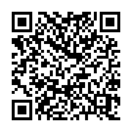 QR code for 217IIT