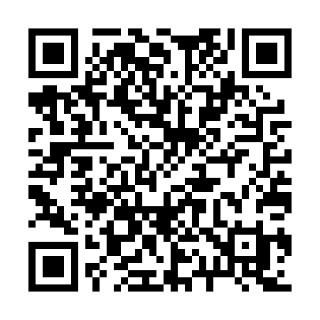 QR code for 217PPI
